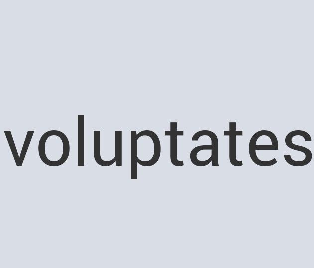 Small Iron Brand Muffin