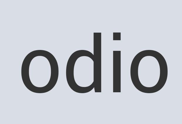 Lightweight Steel InterCode